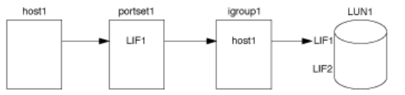 image illustrating LUN access using a port et