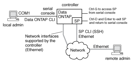 Access to ONTAP and the Service Processor of a node